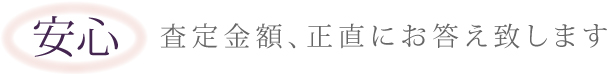 top_titleimg_anshin